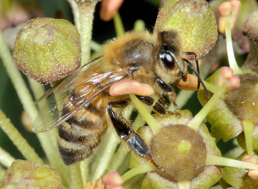 Queste vi consiglio proprio di guardarle!